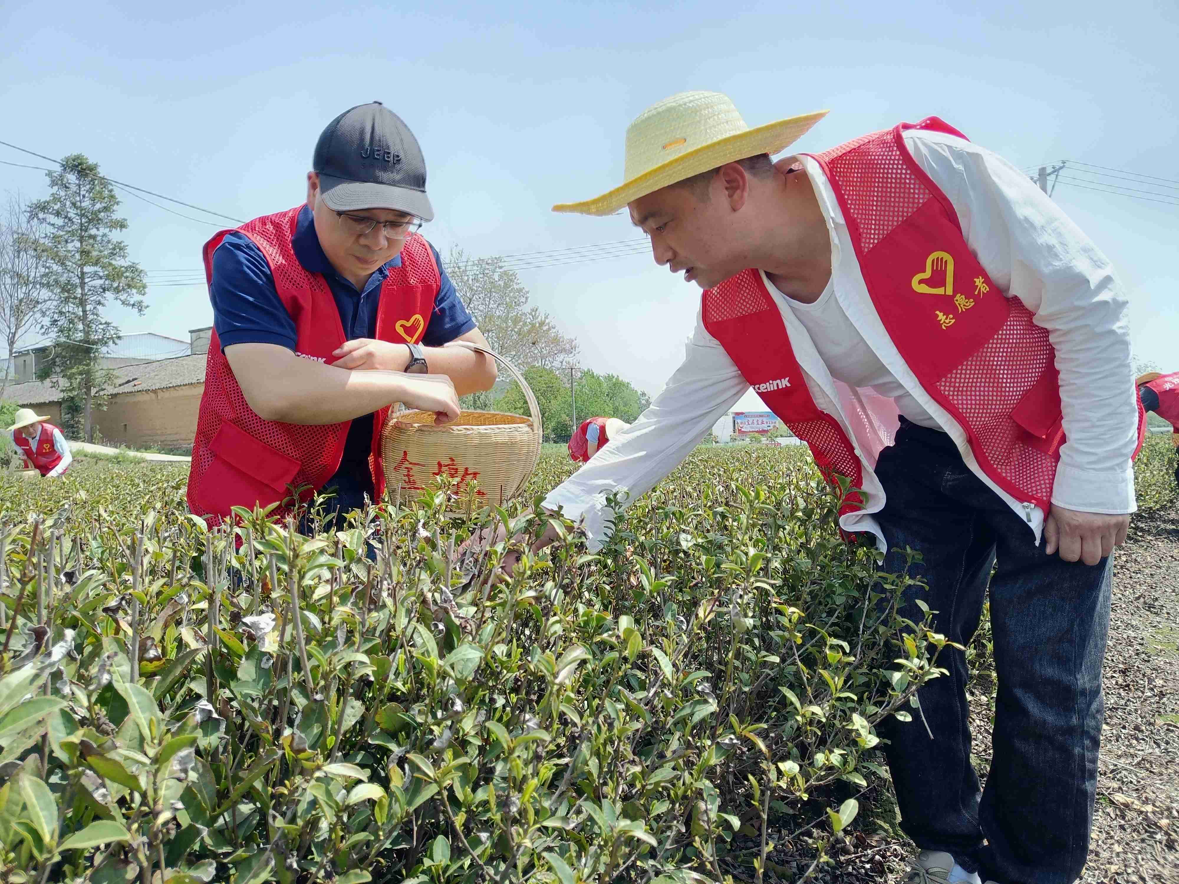 hahabet星辰大海官方网站-妄想从这里起头